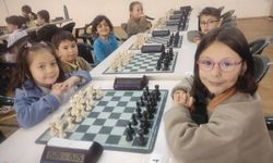 Nallıhan'da satranç turnuvası düzenlendi